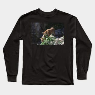 Tiger Cubs Long Sleeve T-Shirt